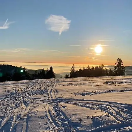 Im Schwarzwaldhaus Homestay *