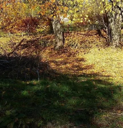 Séjour chez l'habitant Im Schwarzwaldhaus