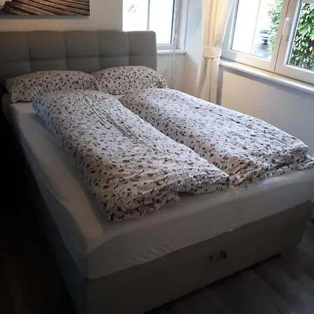 施瓦兹瓦尔德豪斯公寓 民宿 施卢赫湖